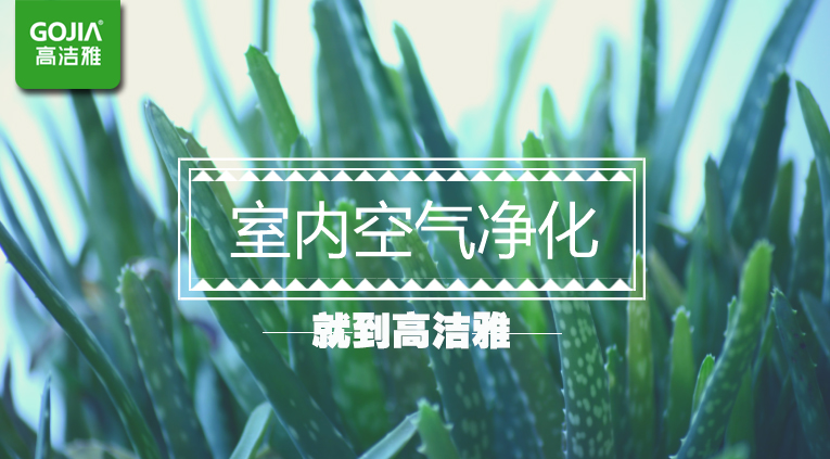 2018513132287656314.jpg 2018513132287656314.jpg