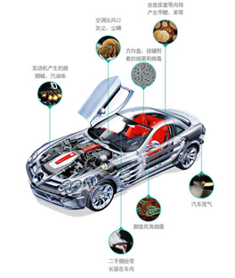 有車必看！新車內的異味