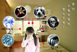 新風系統和空氣凈化器,到底哪個好?